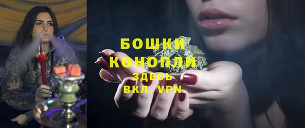 экстази Гусь-Хрустальный
