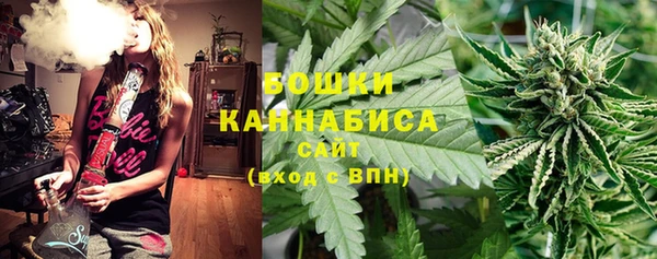 спайс Горняк