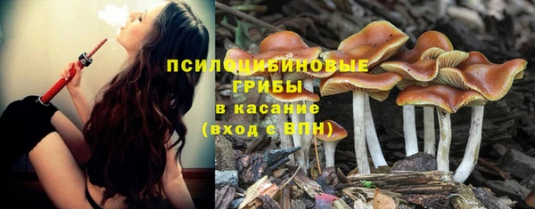 экстази Гусь-Хрустальный
