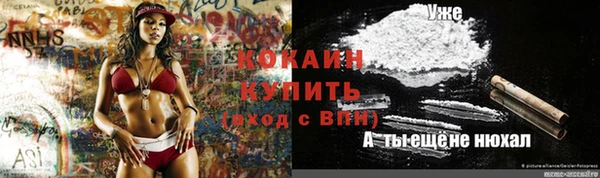 спайс Горняк